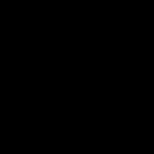 Meet your Posher, Joan